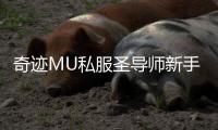 奇迹MU私服圣导师新手入门必看职业优劣势分析