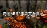 奇迹MU私服刷黄金怪技巧与心得分享