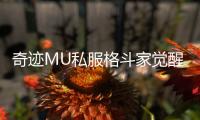 奇迹MU私服格斗家觉醒系统深度解读