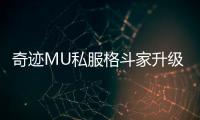 奇迹MU私服格斗家升级路线推荐快速提升等级